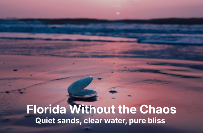 florida without chaos
